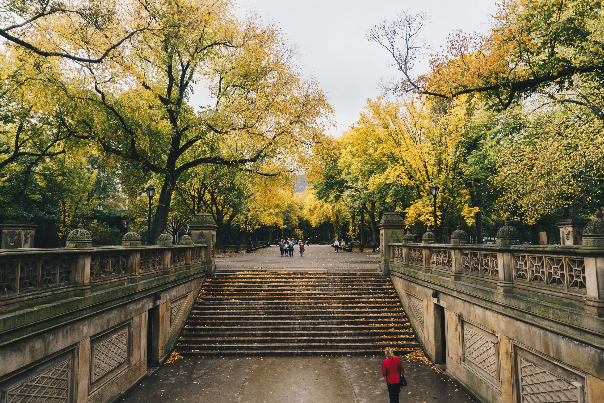 Central Park en Nueva York por Better in NYC